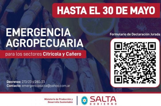 89674-el-30-de-mayo-vence-el-plazo-para-adherirse-a-la-emergencia-para-los-sectores-caniero-y-citricola-20230517104918