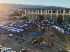 Más de 100 mil salteños visitaron la «Expo mercado» en el Estadio Delmi