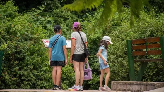 WhatsApp Image 2025-10-14 at 10.24.57 (1)