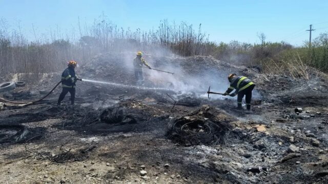 WhatsApp Image 2025-10-14 at 10.51.27