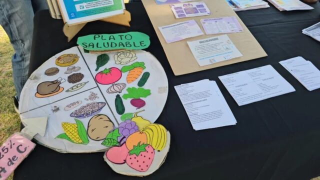 WhatsApp Image 2025-11-19 at 11.00.46