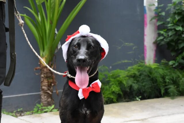 WhatsApp Image 2025-12-02 at 10.16.27