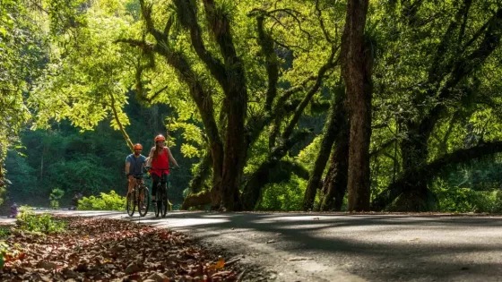 WhatsApp Image 2025-12-29 at 10.26.30