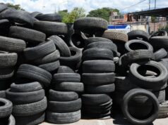 Febrero culmina con una exitosa edición del Neumatón en el CCM