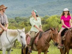 Salta recibió más de 650 mil visitantes y generó un impacto de $402.735 millones