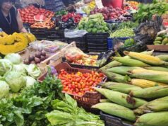 Mercado municipal: panorama de precios para planificar las compras de marzo