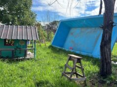 Patrulla Ambiental: detectan otra pileta abandonada en la ciudad en menos de 24 hs