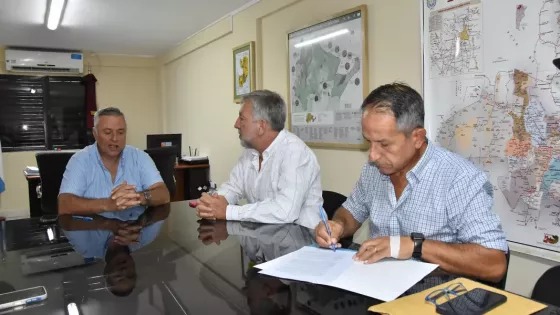 WhatsApp Image 2026-03-20 at 10.14.14