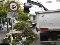 Erradicaron un microbasural en un sector reservado para personas con discapacidad