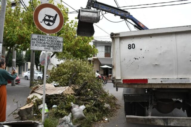 WhatsApp Image 2026-04-10 at 10.54.35