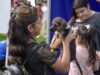 Mes del Animal: jornada especial de vacunación, adopción y castración