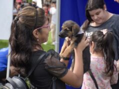Mes del Animal: jornada especial de vacunación, adopción y castración