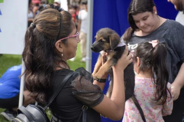 WhatsApp Image 2026-04-14 at 11.55.30