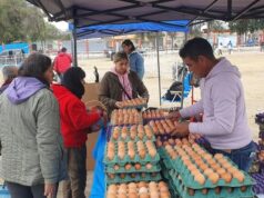 “El Mercado en tu barrio” llega al Delmi con precios imperdibles y servicios municipales