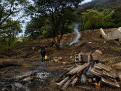 Vecinos sancionados por quema ilegal de restos de poda en un baldío