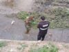 Trabajadores municipales rescataron a un perro atrapado en el canal Velarde