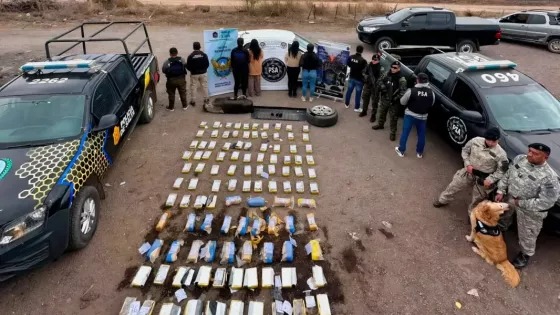 WhatsApp Image 2026-07-24 at 12.34.46