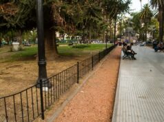 Las plazas de la ciudad volverán a tener placeros